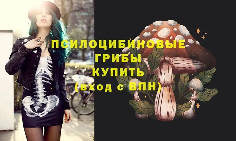 hydra ТОР  Новороссийск  Галлюциногенные грибы MAGIC MUSHROOMS  наркотики 